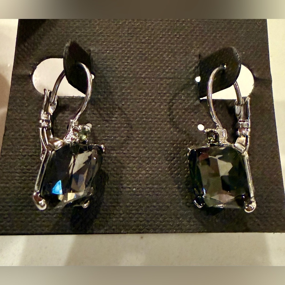 Silver-tone and Grey Sparkly Earrings - New!